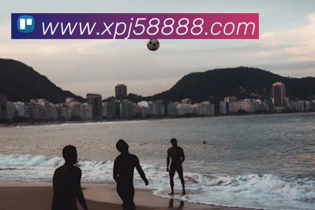 xpj全站App